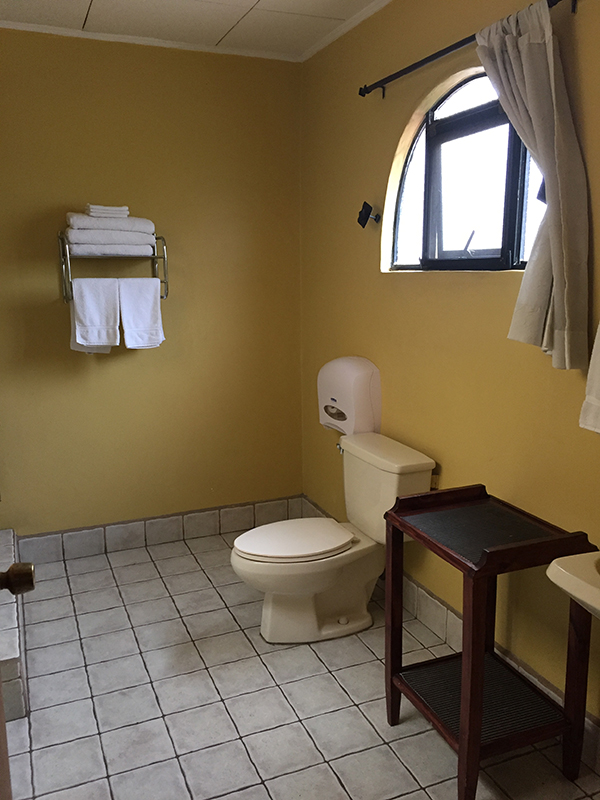 Master bathroom with arched window.