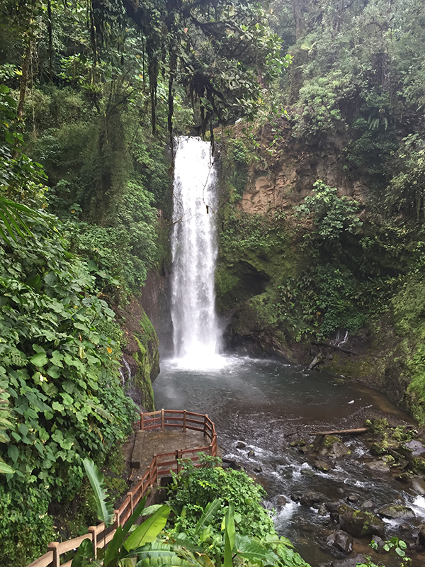 Waterfall in jungle setting.